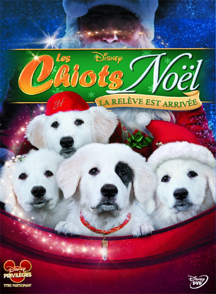La Mission De Chien Noël Les Chiots Noël